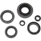 Moose Racing Motor Seals 822366MSE