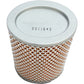 Hiflofiltro Replacement Air Filter - Triumph HFA6504 | Air Filters & Parts | Hiflofiltro