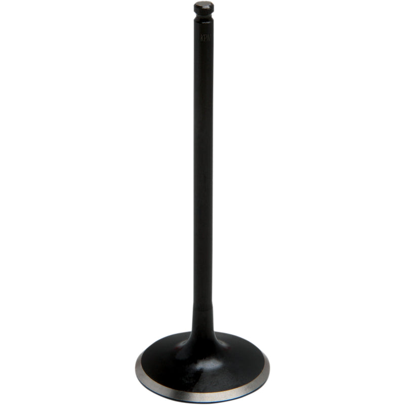 Kibblewhite Intake Valve 80-81312 | Valves & Parts | Kibblewhite