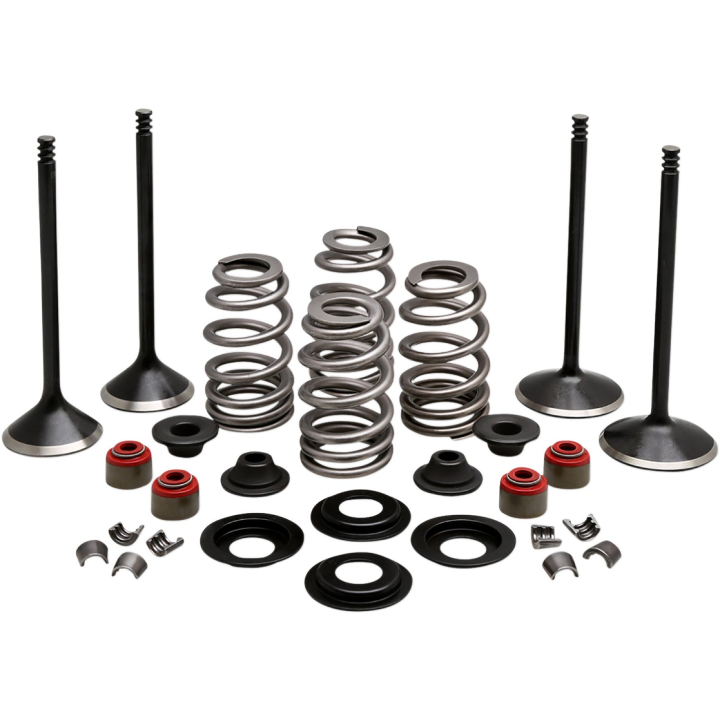 Kibblewhite Complete Valve Kit - Evolution/1200 20-22950 | Valves & Parts | Kibblewhite