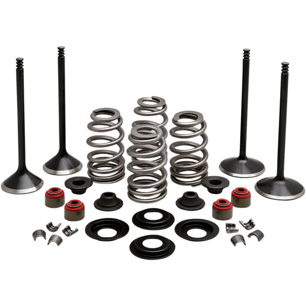 Kibblewhite Complete Valve Kit - Evolution/1200 20-22950