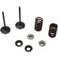 Moose Racing Intake Valve Kit M80-82350