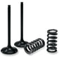 PROX Valve and Spring Kit - Exhaust - Yamaha 28.SES2414-1