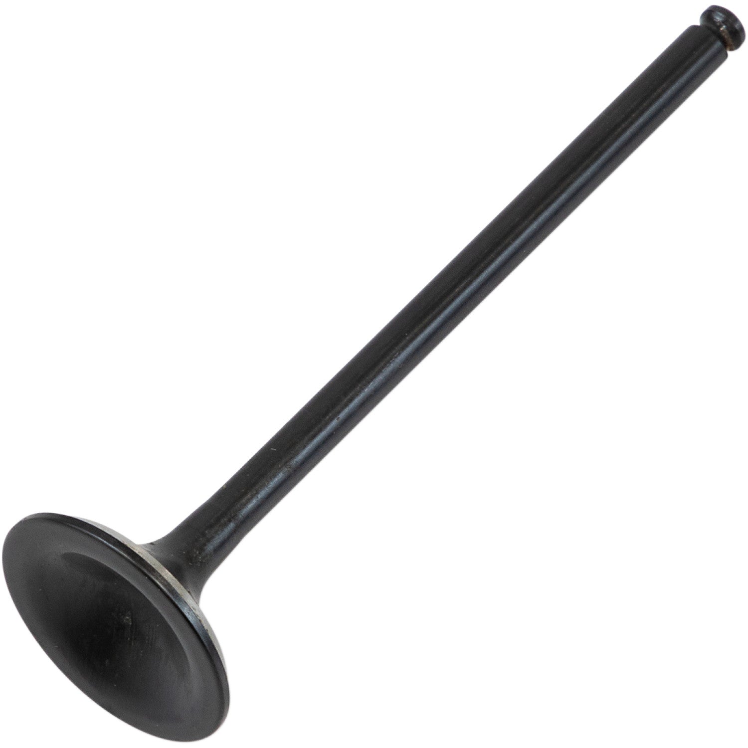 Kibblewhite Exhaust Valve 96-96266 | Valves & Parts | Kibblewhite