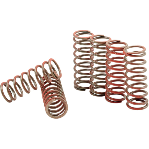 Hinson Racing Clutch Spring Kit CS216-6-0315