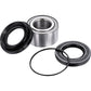 Factory Links Wheel Bearing Kit - Rear - '07-'13 Honda TRX420 ARA-H-020