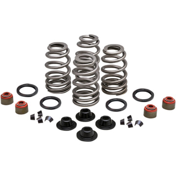 Kibblewhite Spring Kit - .660" - Twin Cam 20-21550 | Valves & Parts | Kibblewhite