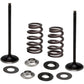 KIBBLEWHITE Spring Kit - Intake Only 96-96540