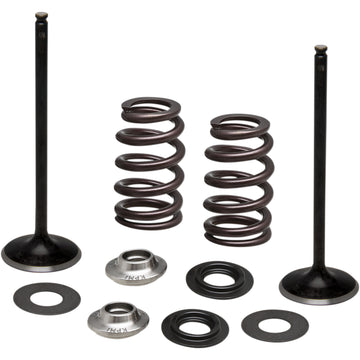 KIBBLEWHITE Spring Kit - Intake Only 96-96540