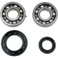 Moose Racing Crank Bearings and Seals - Yamaha 24-1034
