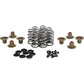 Kibblewhite Beehive Spring Kit - 0.640" Lift - H.T. Steel - M8 | CVO 20-24400 | Valves & Parts | Kibblewhite