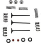 Moose Racing Intake Valve Kit M80-80850
