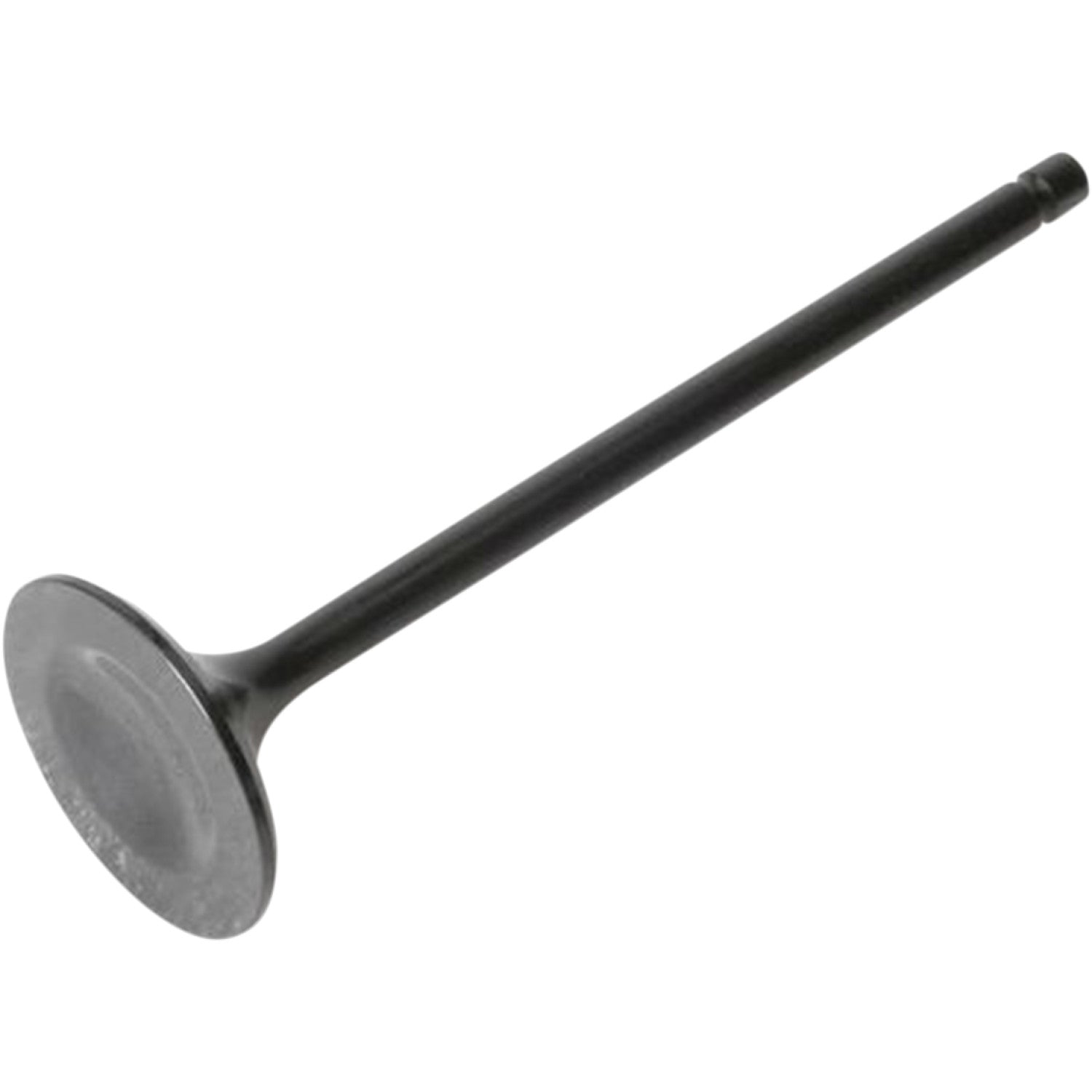 Kibblewhite Exhaust Valve 30-3117 | Valves & Parts | Kibblewhite