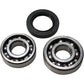All Balls Chain Case Bearing and Seal Kit 14-1029