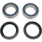 Moose Racing Wheel Bearing Kit - Rear 25-1331
