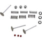 Moose Racing Intake Valve Kit M80-80950