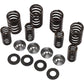 KIBBLEWHITE Spring Kit - .445" 60-60500