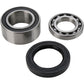All Balls Chain Case Bearing and Seal Kit 14-1010
