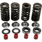 KIBBLEWHITE Spring Kit 30-30590