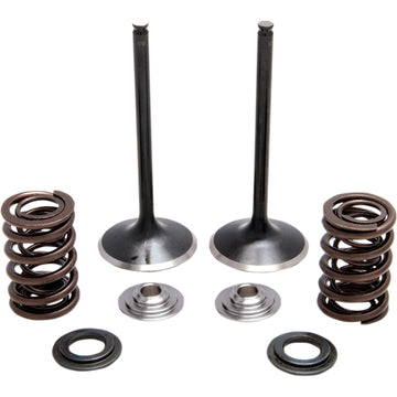 Kibblewhite Spring Kit - Stainless Steel 30-31230 | Valves & Parts | Kibblewhite