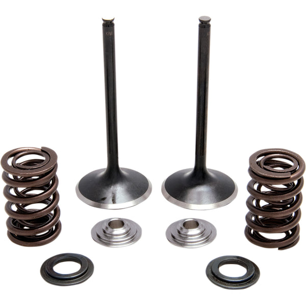 Kibblewhite Spring Kit - Stainless Steel 30-31230