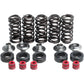 KIBBLEWHITE Valve Spring Kit 80-80100