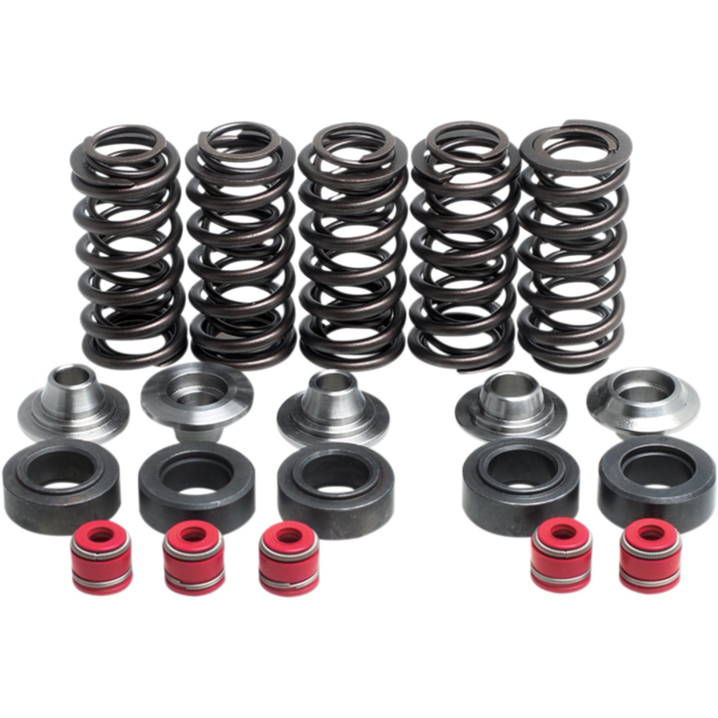 KIBBLEWHITE Valve Spring Kit 80-80100