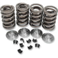 KIBBLEWHITE Valve Spring Kit - Big Twin 20-20430