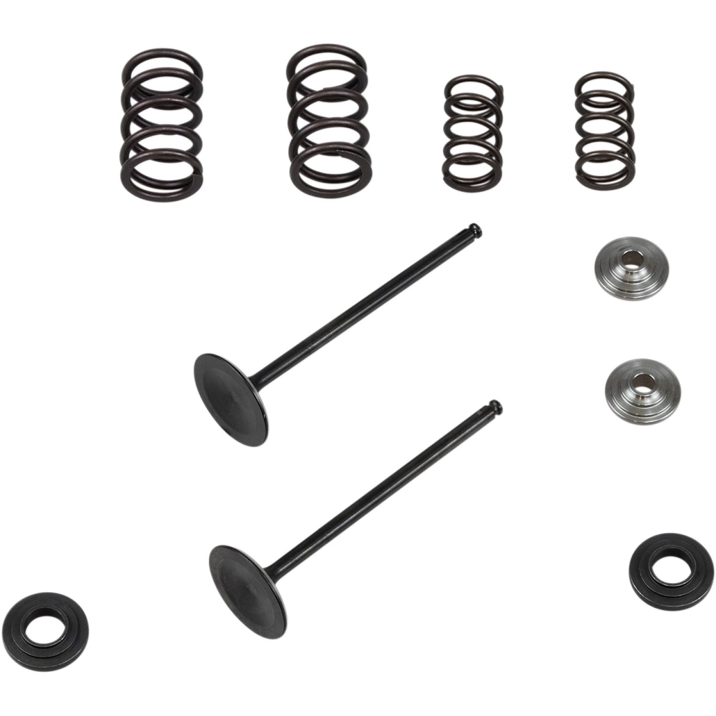 Kibblewhite Valve Spring Kit 96-96450 | Valves & Parts | Kibblewhite