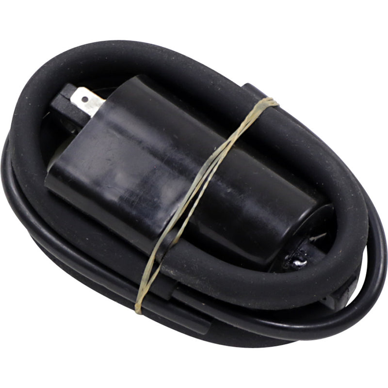 Rick's Motorsport Electric Ignition Coil - Suzuki 23-302