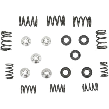 Kibblewhite Valve Spring Kit 80-80030 | Valves & Parts | Kibblewhite