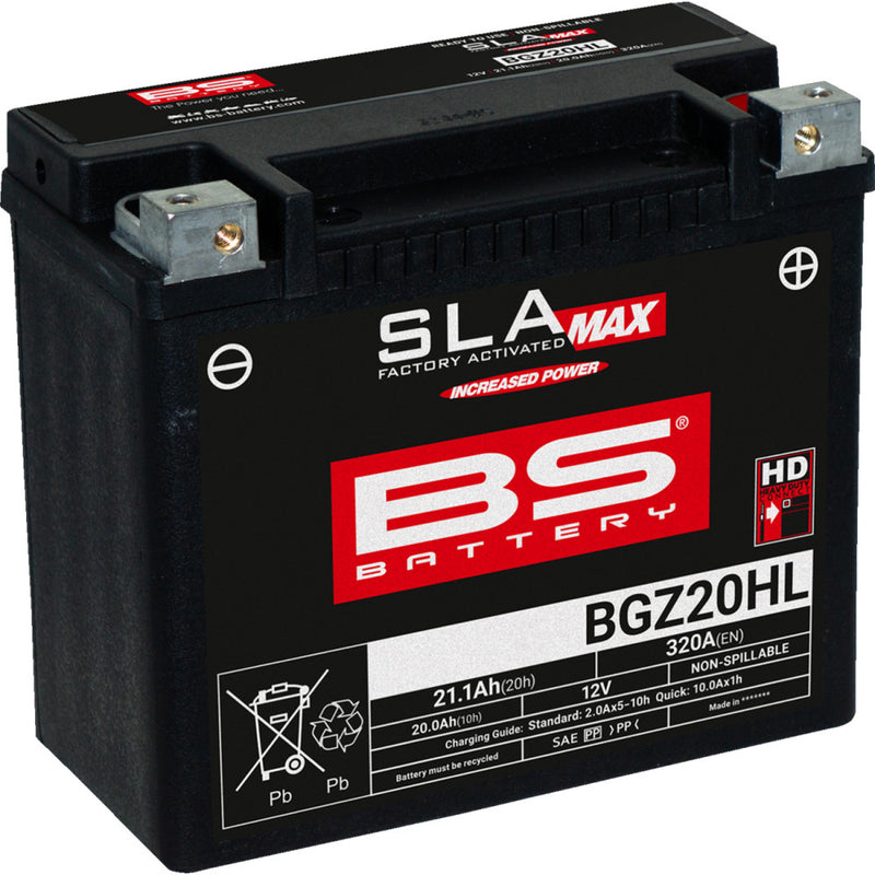 BS Battery Battery - BGZ20HL 300934