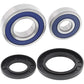 All Balls Wheel Bearing Kit - Rear 25-1282