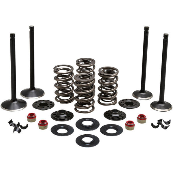 Kibblewhite Complete Valve Kit - Evolution/883 20-22750