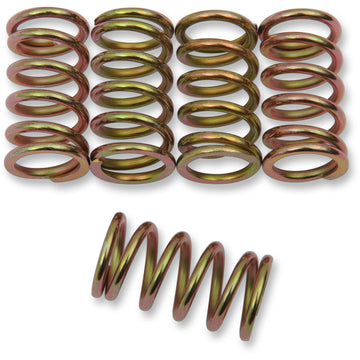 Barnett Clutch Springs 501-57-05007 | Clutch Plates & Springs