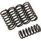 Barnett Clutch Springs 501-50-05042 | Clutch Plates & Springs