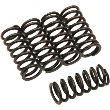 Barnett Clutch Springs 501-50-05042 | Clutch Plates & Springs