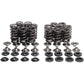 KIBBLEWHITE Valve Spring Kit 40-41100