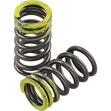 XCELDYNE Valve Springs - Intake - Kawasaki | Suzuki PSIMX2104