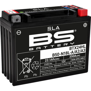BS Battery Battery - BTX24HL (YTX) 300770