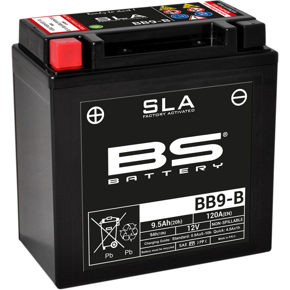 BS Battery Battery - BB9-B (YB) 300675