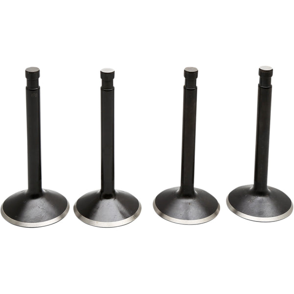 Kibblewhite Valve Kit - Knucklehead 20-22000