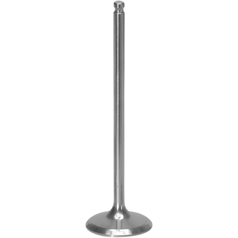 XCELDYNE Intake Valve XIVM13000