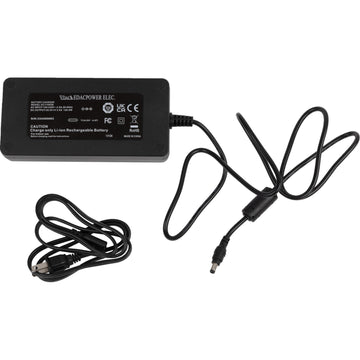 Moose Offroad RS-20 E-Bike Battery Charger X02-E2502 | Electrical System Tools