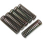 Barnett Clutch Spring Set 501-59-06098 | Clutch Plates & Springs