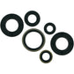 Moose Racing Motor Seals 822185MSE
