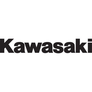 FACTORY EFFEX Die-Cut Decal - 1' - Kawasaki 09 12-94114