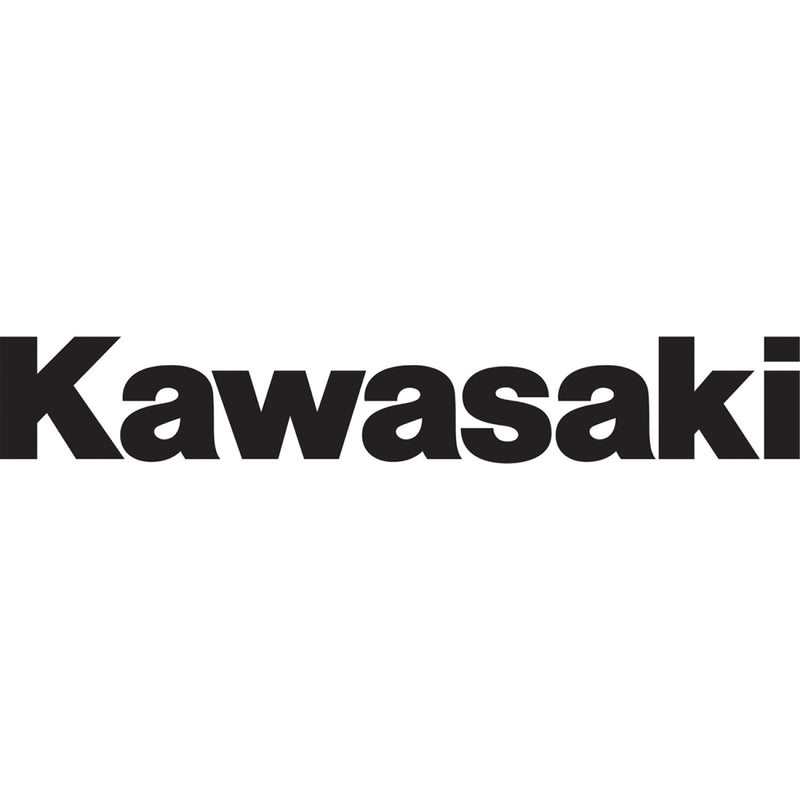 FACTORY EFFEX Die-Cut Decal - 1' - Kawasaki 09 12-94114