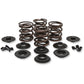 KIBBLEWHITE Valve Spring Kit - Big Twin 20-20425