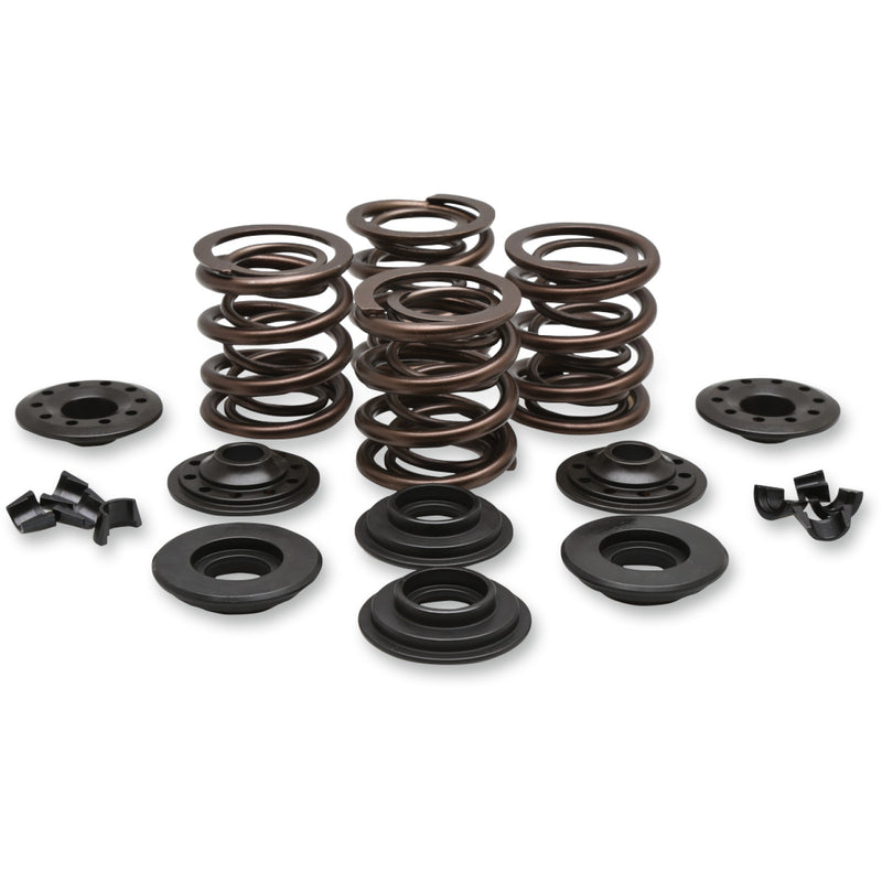 KIBBLEWHITE Valve Spring Kit - Big Twin 20-20425